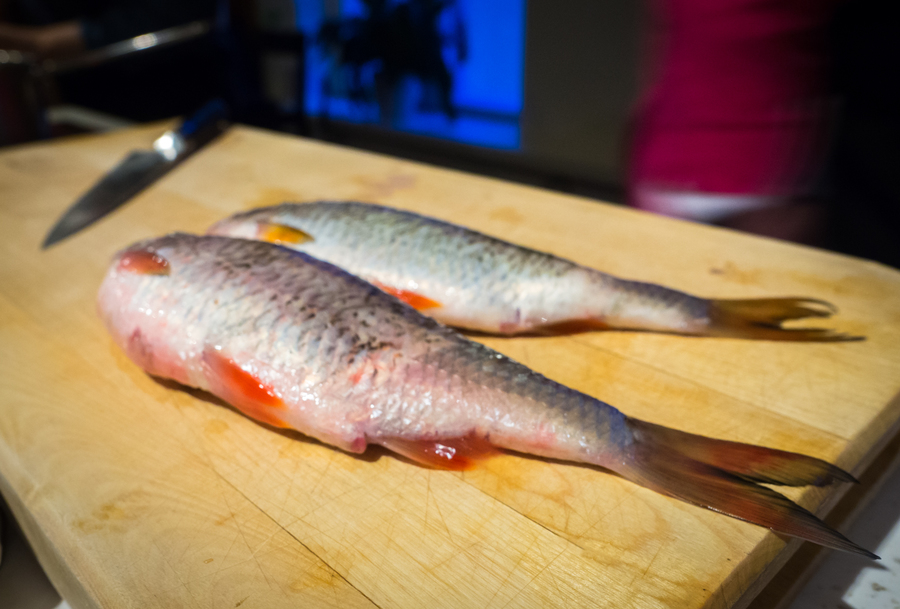 Gastronomit jakavat Markus Aremon kalareseptejä, joiden pääosassa ovat suomalaiset kalat